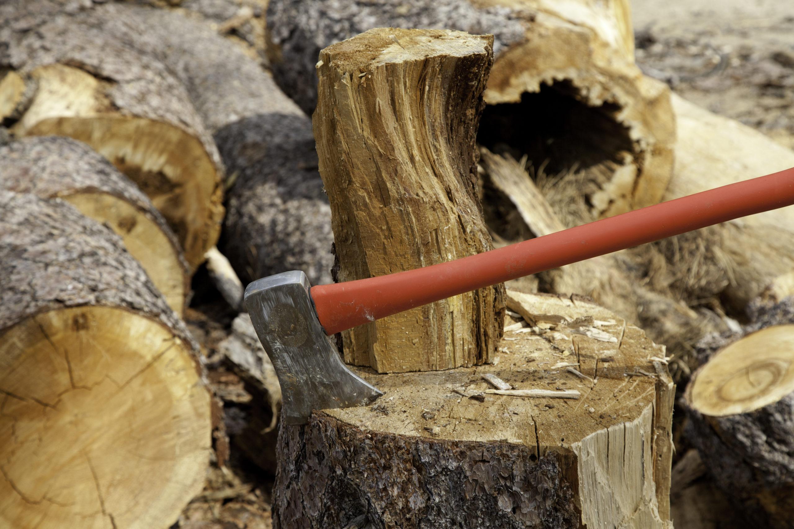 Firewood