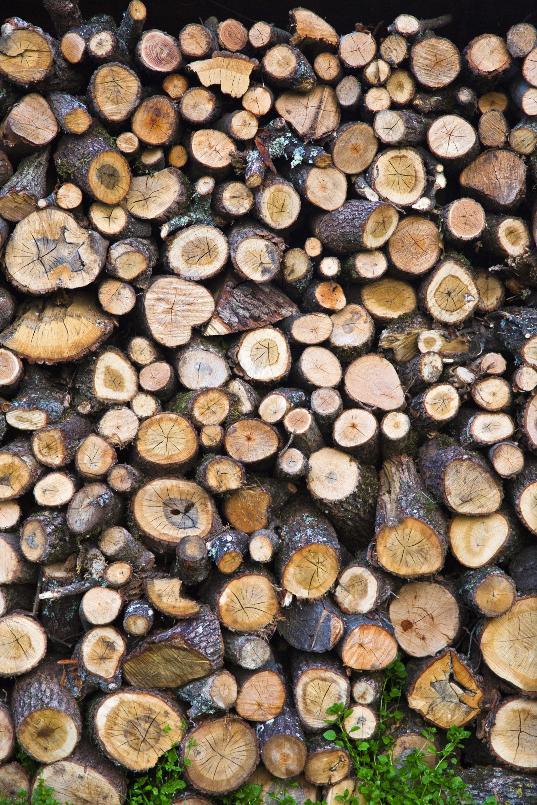 Firewood