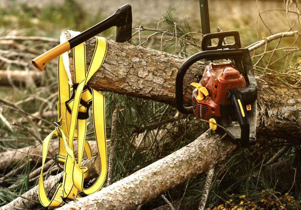 “Professional arborist equipment for safe tree services”